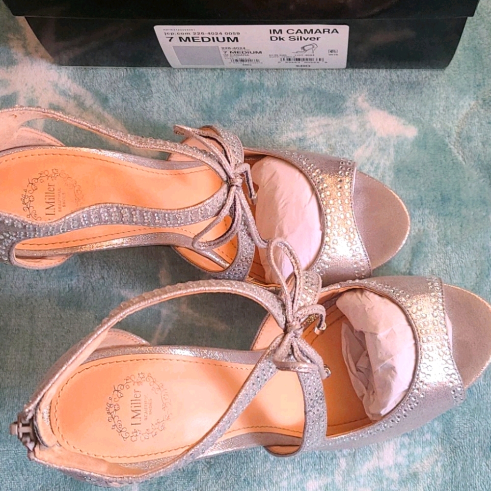 Silver Especial Ocassion Shoes